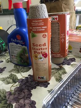 Seed Starting