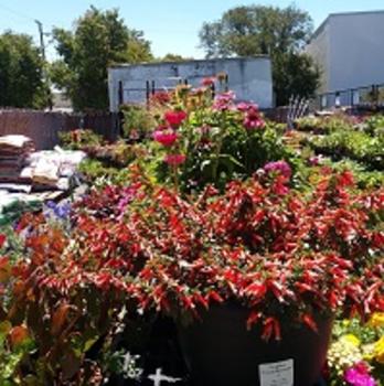 Garden Center