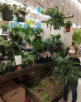 Garden Center