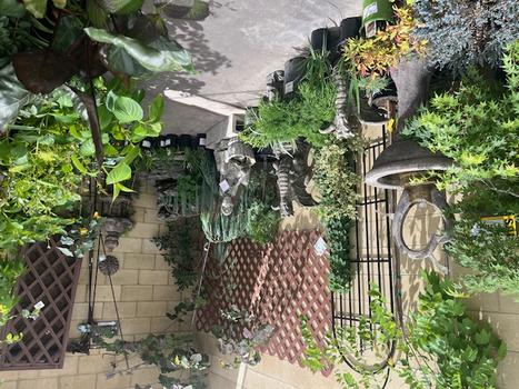 STORE PIC