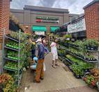 Store Front Silver Spring