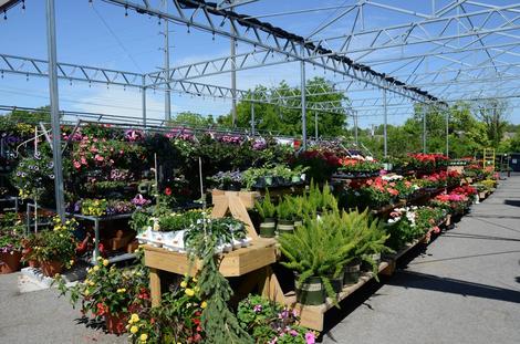 Spring time at Ace Hardware Hendersonville
