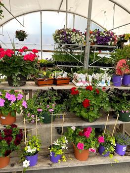 2022 Ace Garden Center