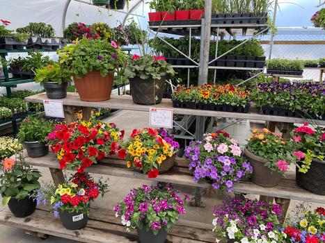 2022 Ace Garden Center