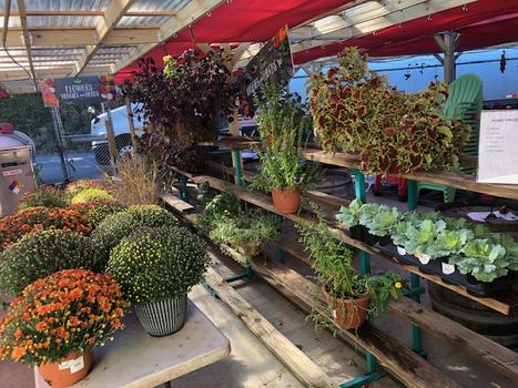 Garden Center