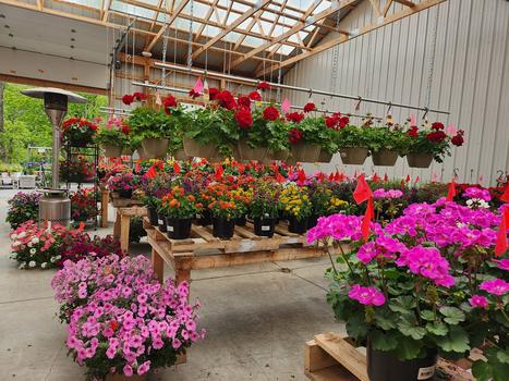 Stroll Through Spring Greenhouses