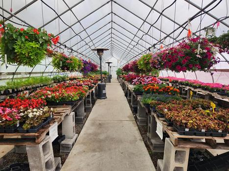 Stroll Through Spring Greenhouses