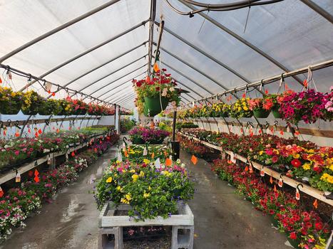 Stroll Through Spring Greenhouses