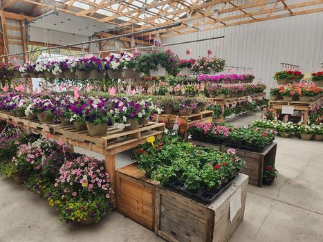Stroll Through Spring Greenhouses