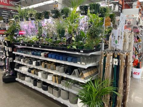Houseplants