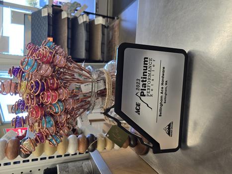 ACE PLATINUM AWARD