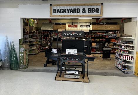 Backyard & BBQ